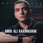دانلود آهنگ جدید امیر علی کریمخانی گل پونه ها